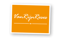 van Rijn Roses
